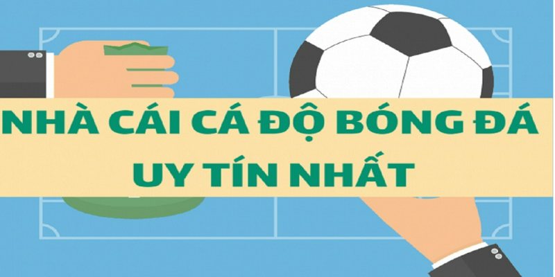 Trang cá cược bóng đá uy tín bảo mật tốt