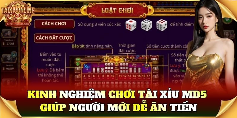 Kinh nghiệm chơi Tài Xỉu MD5 giúp người mới dễ ăn tiền