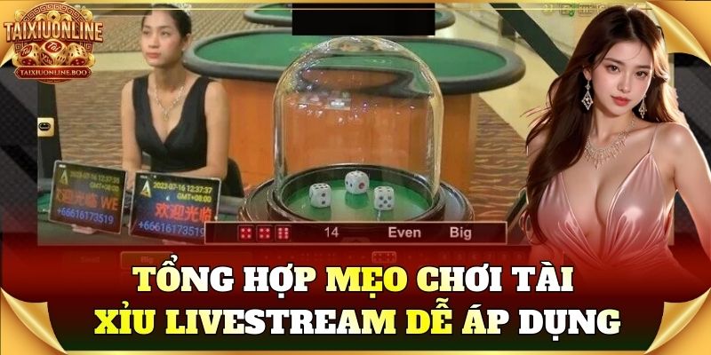 Tổng hợp mẹo chơi Tài Xỉu Livestream dễ áp dụng